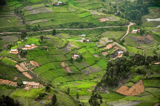 The hills and the valleys of Kabale Highland District in Southern Uganda on the border of Rwanda is covered in agricultural land for cash crops.