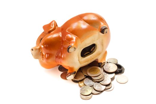 Piggy bank isolated on white background.
