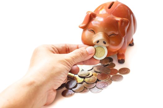 Piggy bank isolated on white background.