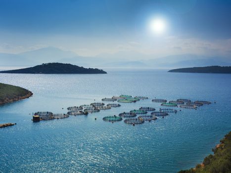 Fish farming on the coast off of Greece