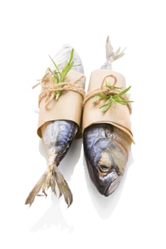 Fresh mackerel fish isolated on white background. Culinary seafood eating.