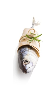 Fresh mackerel fish isolated on white background. Culinary seafood eating. 