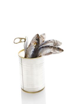 Fresh sardines fish in open can isolated on white background. Culinary seafood eating. Healthy fresh food. 