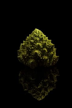 Romanesco broccoli isolated on black background. Healthy vegetable eating. 