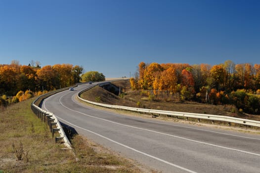 Lonely highway and trees in autumn in Russia