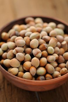 Hazel nuts in clay bowl on wooden background