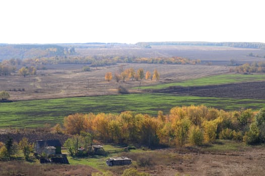 Autumn landscape with fields and trees. Central Russia, Novisil