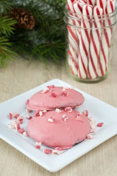 Chocolate peppermint cookies with pink chocolate coating on acountertop with pepermint candy and evergreen bows in the background.