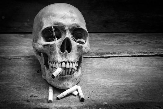 Skull with cigarettes, and old wood background.