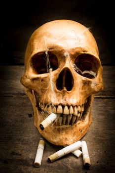 Skull with cigarettes, and old wood background.