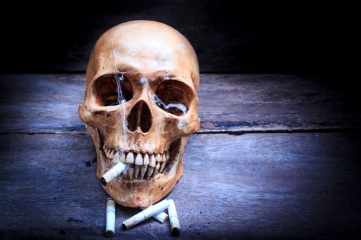 Skull with cigarettes, and old wood background.