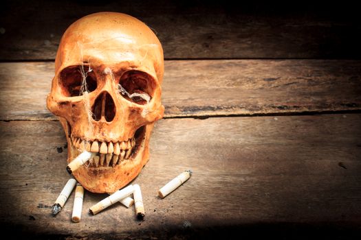Skull with cigarettes, and old wood background.