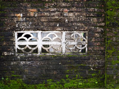 Old brick wall with window, overgrown with moss and mildew