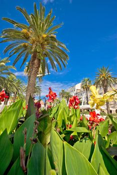 Split Riva palms and flowers vertical view, Dalmatia, Croatia