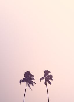 Retro Style Image Of Two Isolated Palm Trees Silhouettes Against A Pale Pink Sky With Copy Space