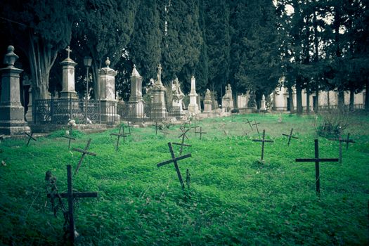 Historic cemetery with unmarked graves