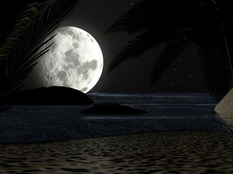 A tropical beach at night moonlight under starry sky, with palm trees.