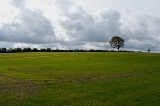 Winter gray heavy storm clouds over a field                                