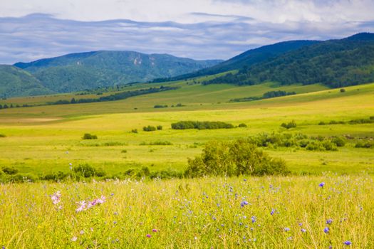 field and blue sky