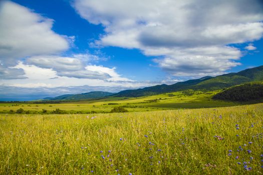 field and blue sky