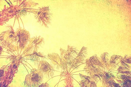 vintage palm background
