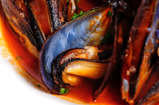 Macro shot of mussels prepared in italian rustic style with wine and parsley