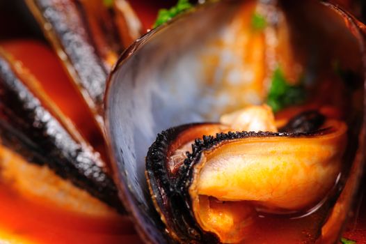 Macro shot of mussels prepared in italian rustic style with wine and parsley