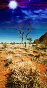 Autralian Outback. Terrain colors with bush and red sand at dusk.