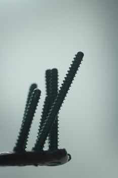 Traumatology orthopedic surgery implant plate and screws in semi silhouette against plain studio background. Closeup macro rectangular photograph. 