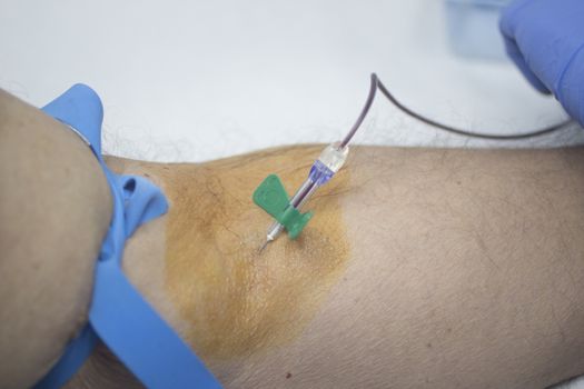 Close-up color photo of a female hospital clinic nurse wearing sterile blue gloves and senior male patient aged 65-70 giving a blood donation sample from the interior of his elbow resting arm on sterile blue white defocused background.