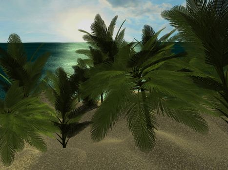 A tropical beach at daytime, with palm trees.