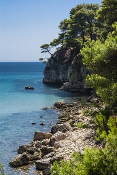 Beach of alonissos, Sporades, Greece