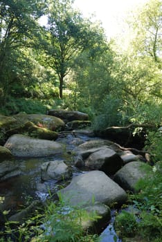 Edge of the Gouet