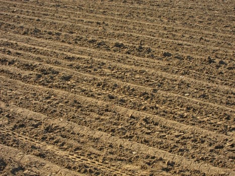 Ground before sown
