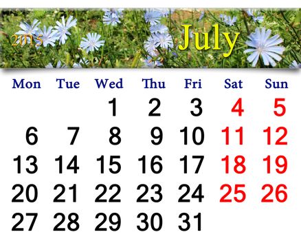 calendar for the July of 2015 with Cichorium in the summer field