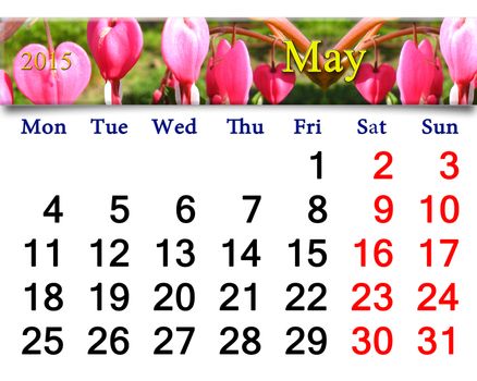 calendar for May of 2015 year with fragment of blooming dicentra