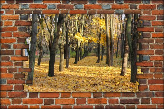 broken brick wall and view to Autumn park with yellow trees