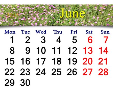 calendar for June of 2015 year with ribbon of wild carnation