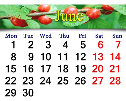 calendar for June of 2015 year with fruits of red berries of Prunus tomentosa