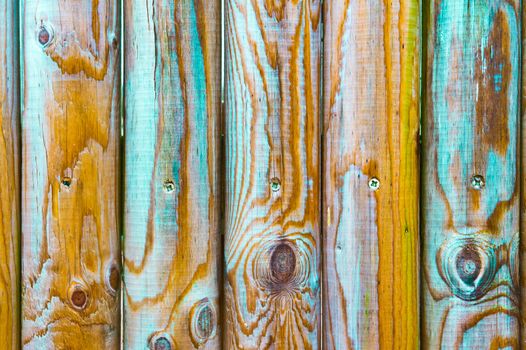 Vivid colours on wooden fence poles