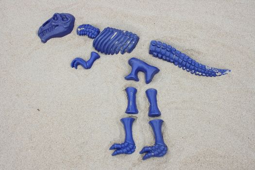 A T Rex, from blue single fragments designed in sand