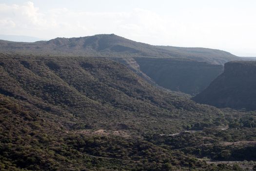 Awash National Park Ethiopia