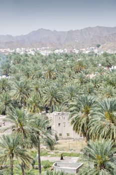 View from the fort to buildings and palms of the town Nizwa, Oman