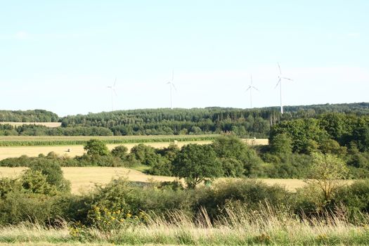 A landscape with wheat fields and forest