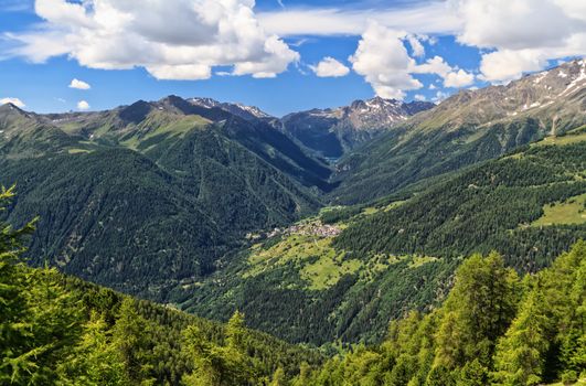 Pejo valley with Vioz and Cevedale mountains, Trentino, Italy