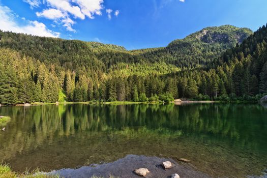 summer view of Caprioli lake in Val di Sole, Trentino, Italy