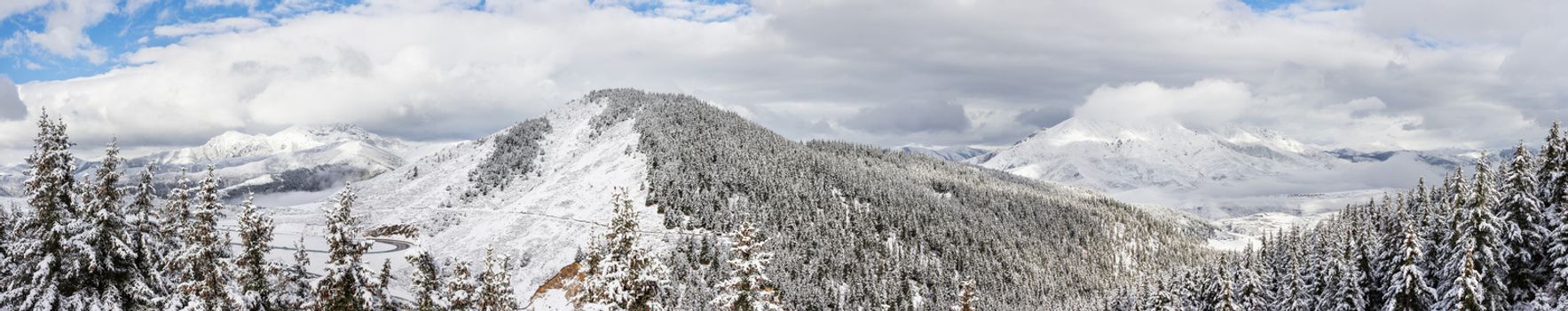 panorama spruce forest around mountain in winter covered by snow day scenic