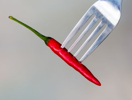 Chilli On Fork Meaning Red Pepper And Peppers