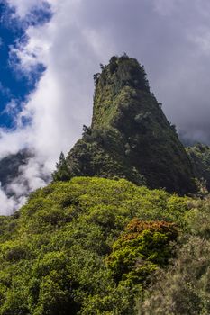 Hawaiian geographic needle in the Iao Valley Rainforest