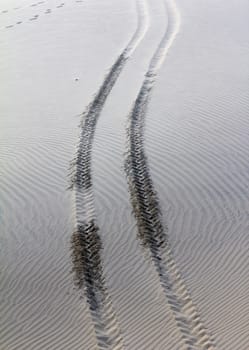 Landscape sand beach path